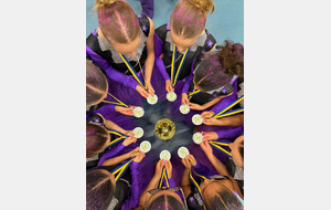 Championnat par équipe